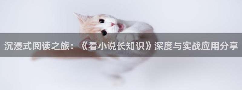 巴士小说网入口