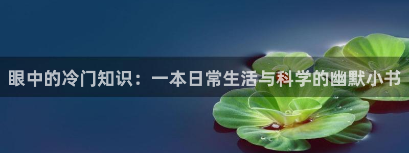 欢度巴士小说
