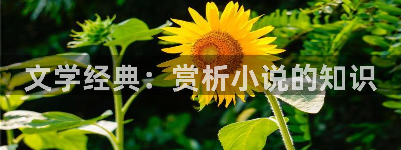 巴士小说网txt下载
